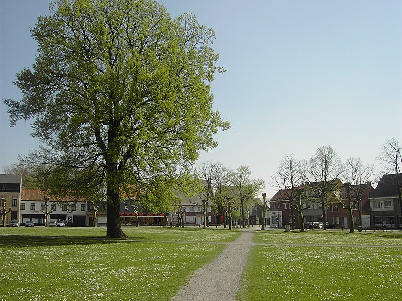 File:Vrijheidsboom dries.JPG