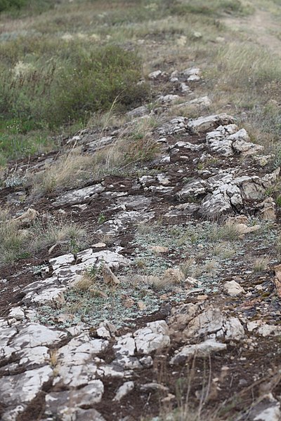 File:Vrubivs'kyi, Luhans'ka oblast, Ukraine, 92020 - panoramio.jpg