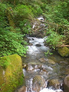 Wallace River River in Washington, United States