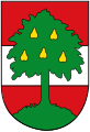 So sieht das Wappen der Stadt aus