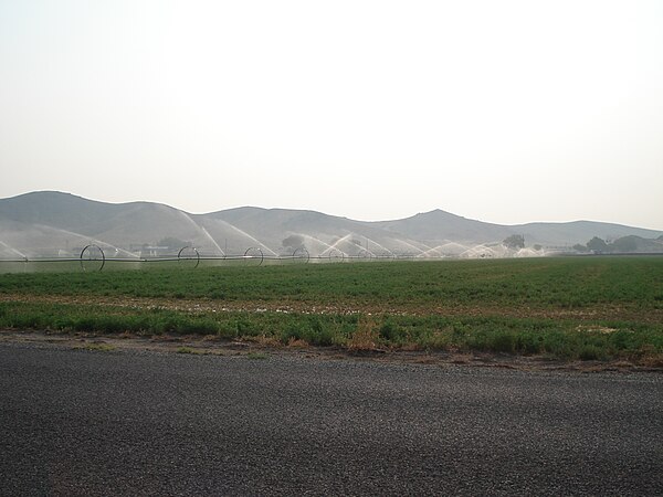 Watering an alfalfa field in Yerington