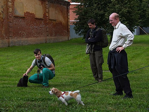 Во второй раз в истории петербургского википедизма на вики-встречу пришла собака по имени Андромеда Галактика. На фото она приветствует пушкинских котов