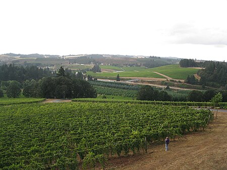 Willamette Valley Vineyards