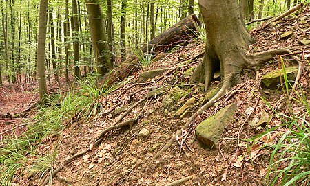 Wirkesburg Wall Steine