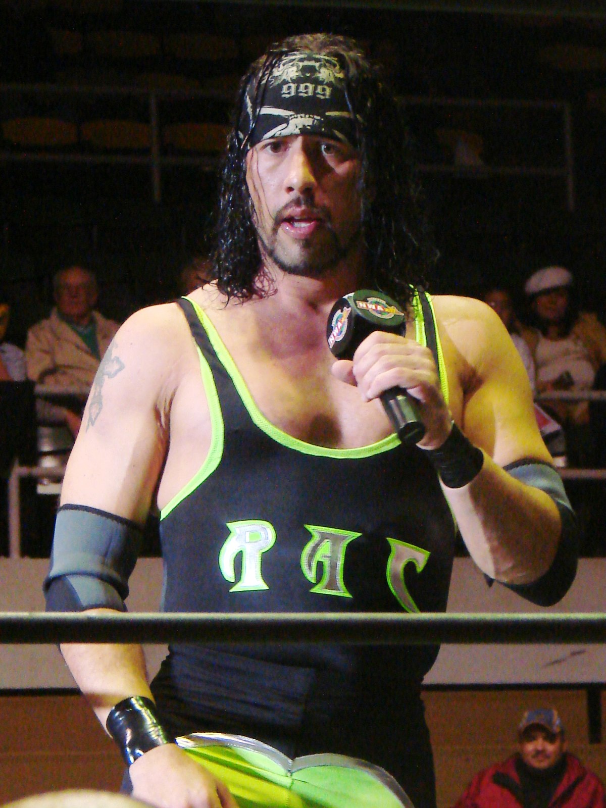 Sean Waltman - Wikipedia