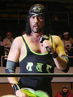 Sean Waltman American professional wrestler