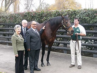 Zabeel New Zealand-bred Thoroughbred racehorse