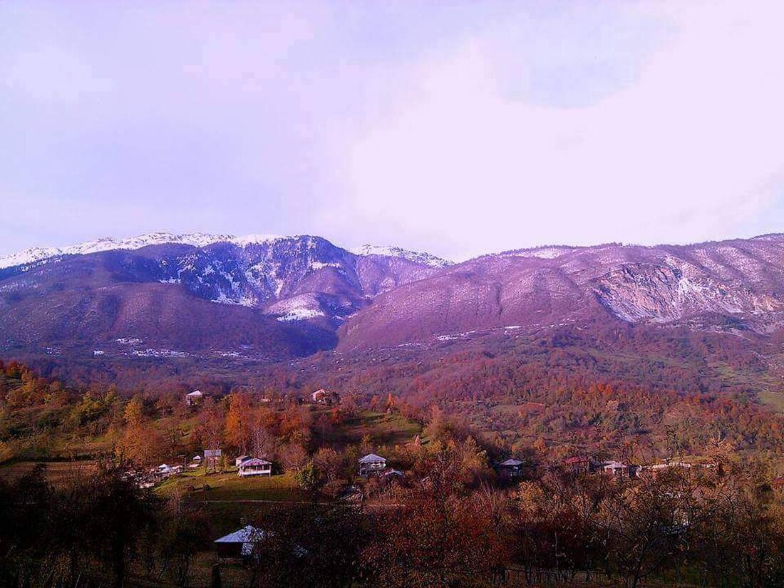 Զարագուլա