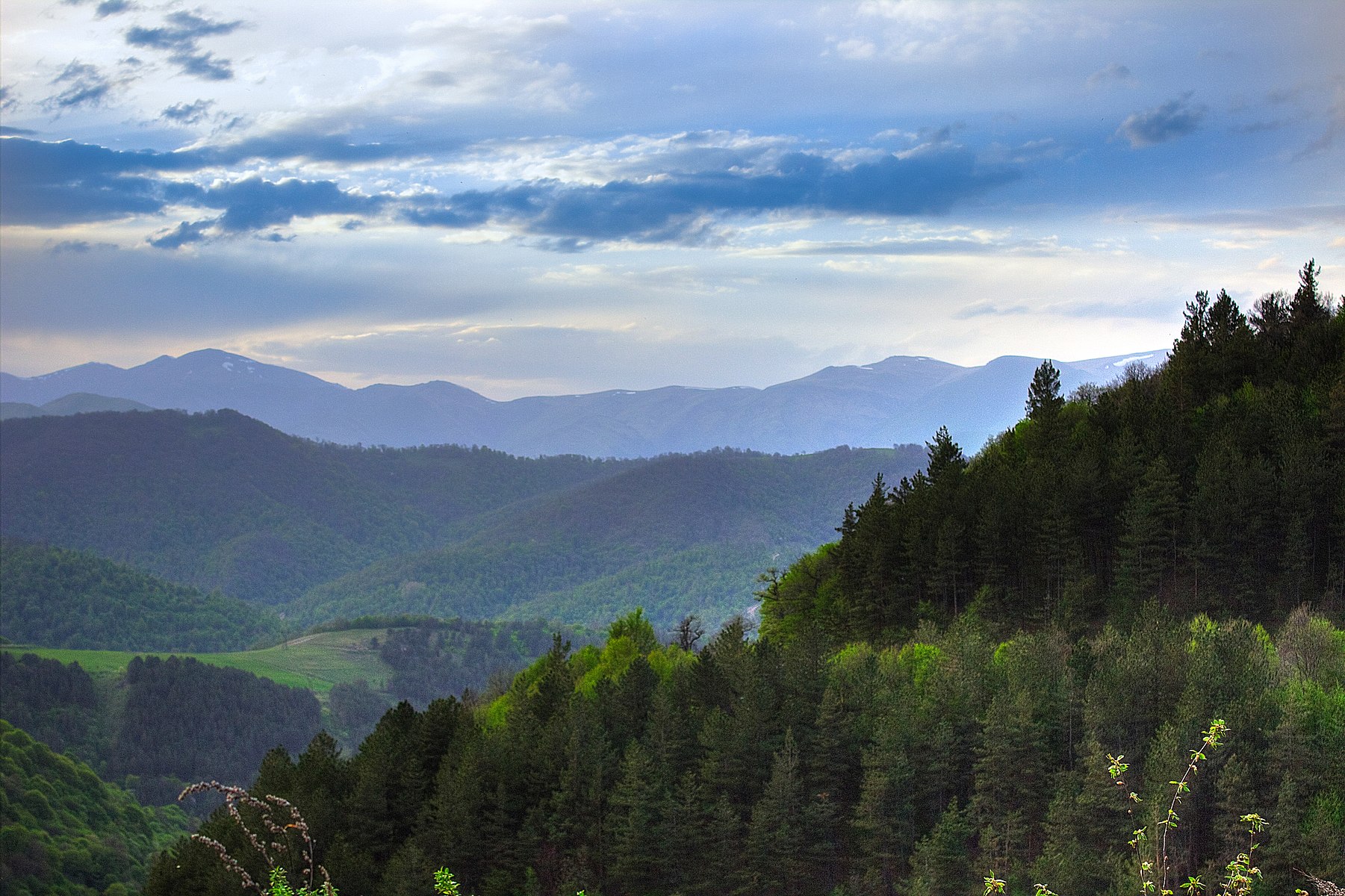 Dilijan National Park, the largest forest and protected area in Armenia © H-dayan