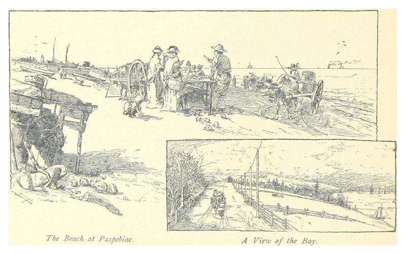 File:(1885) p040 The Beach at Paspebiac.jpg