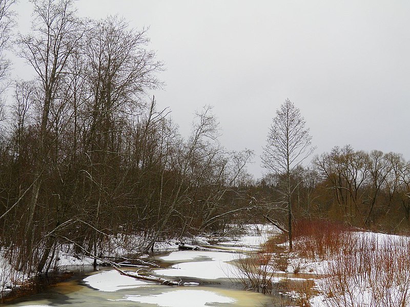 File:Р. Залвите зимой Zalvītes upe ziemā - panoramio.jpg