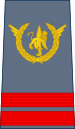 02-ROCongo Air Force-CPL.svg