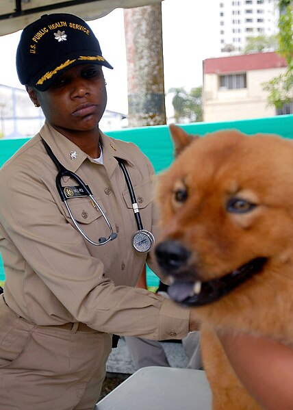 File:070825-N-4238B-052 - CDR Elvira Hall-Robinson, of the USPHS attached to the MSC hospital ship USNS Comfort (T-AH-20), provides veterinary care at the Bueanaventura Coliseum.jpg