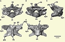 1-s2.0-S2589004220310312-gr2.jpg