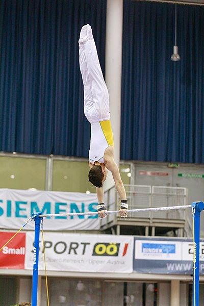 File:15th Austrian Future Cup 2018-11-24 Marcus Casamento (Norman Seibert) - 10966.jpg