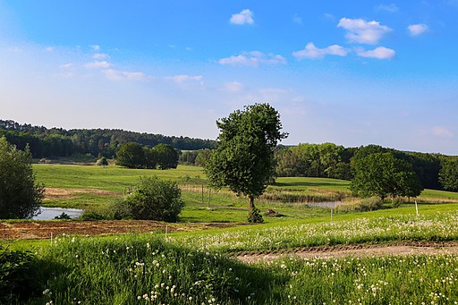 UNESCO-Biosphärenreservat Schorfheide-Chorin bei Barnim-Buckow.