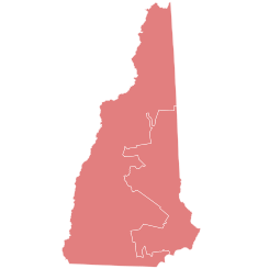 2018 New Hampshire gubernatorial election results by congressional district.svg