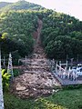 大量の土砂と流木が発生した渓流（広島県）