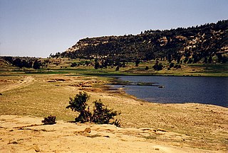 <span class="mw-page-title-main">Felaga</span> Freshwater artificial lake in Ethiopia