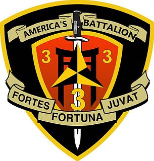3rd Battalion, 3rd Marines Infantry battalion of the United States Marine Corps
