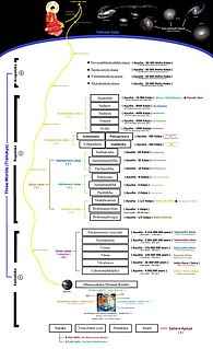 <span class="mw-page-title-main">Buddhist cosmology</span> Description of the universe in Buddhist texts