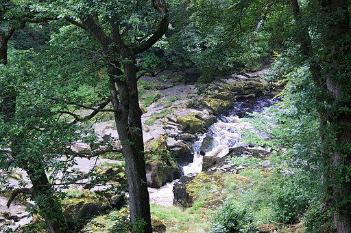 A waterfall on the Strid - geograph.org.uk - 2510021