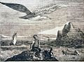 Albatroz - Panorama 1837.jpg