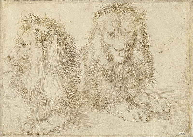 File:Albrecht Dürer - Two seated lions - Google Art Project.jpg
