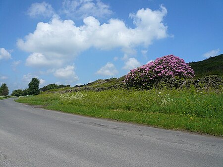 Alicehead Road