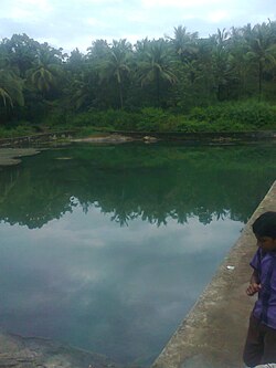 Alungal Dam.jpg