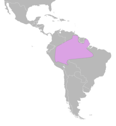 Distribuição do caburé-da-amazônia