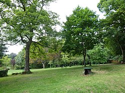 An August afternoon in Moseley Park (5) (geograph 3612015).jpg