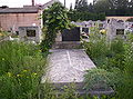 Grave of Calvinist bishop Géza Antal in the Alsóvárosi cemetery in Pápa, Hungary Antal Géza református püspök sírja a pápai Alsóvárosi temetőben