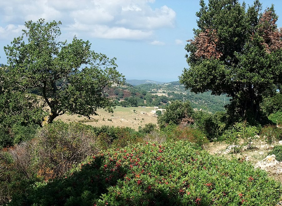 Apulia page banner