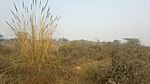 Aravali Biodiversity Park, Gurgaon