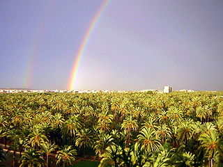 Arc de Sant Martí sobre el Palmerar d'Elx