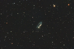 Arp 81 galaxy merger in Draco