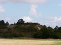 Vignette pour Motte de Puy Taillé