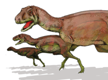 Deinonychus, DinoDB