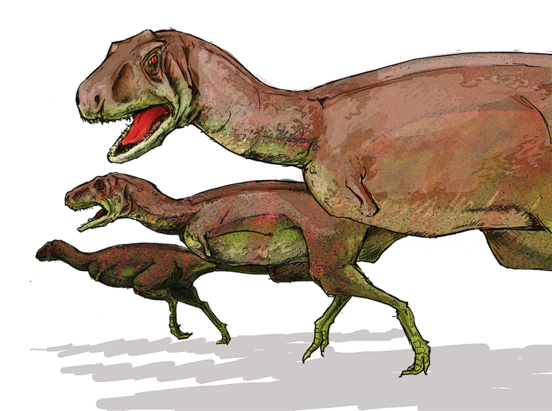 File:Aucasaurus dinosaur.png