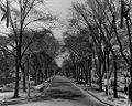 Queen's Park Circle looking north to Bloor Street