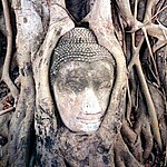 Buddha figure in Wat Mahatat