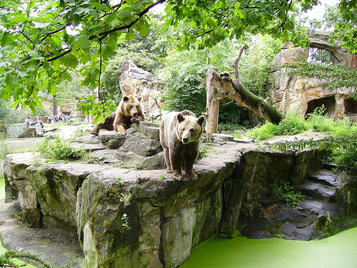 3b im Zoo. Saarbrucker Zoo in 1870.