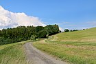 Čeština: Silnice mezi Pateřínem a Hradečnou, částmi Bílé Lhoty English: Road between Pateřín and Hradečná, parts of Bílá Lhota, Czech Republic.