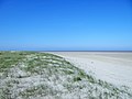 Sand und Dünen am Meer