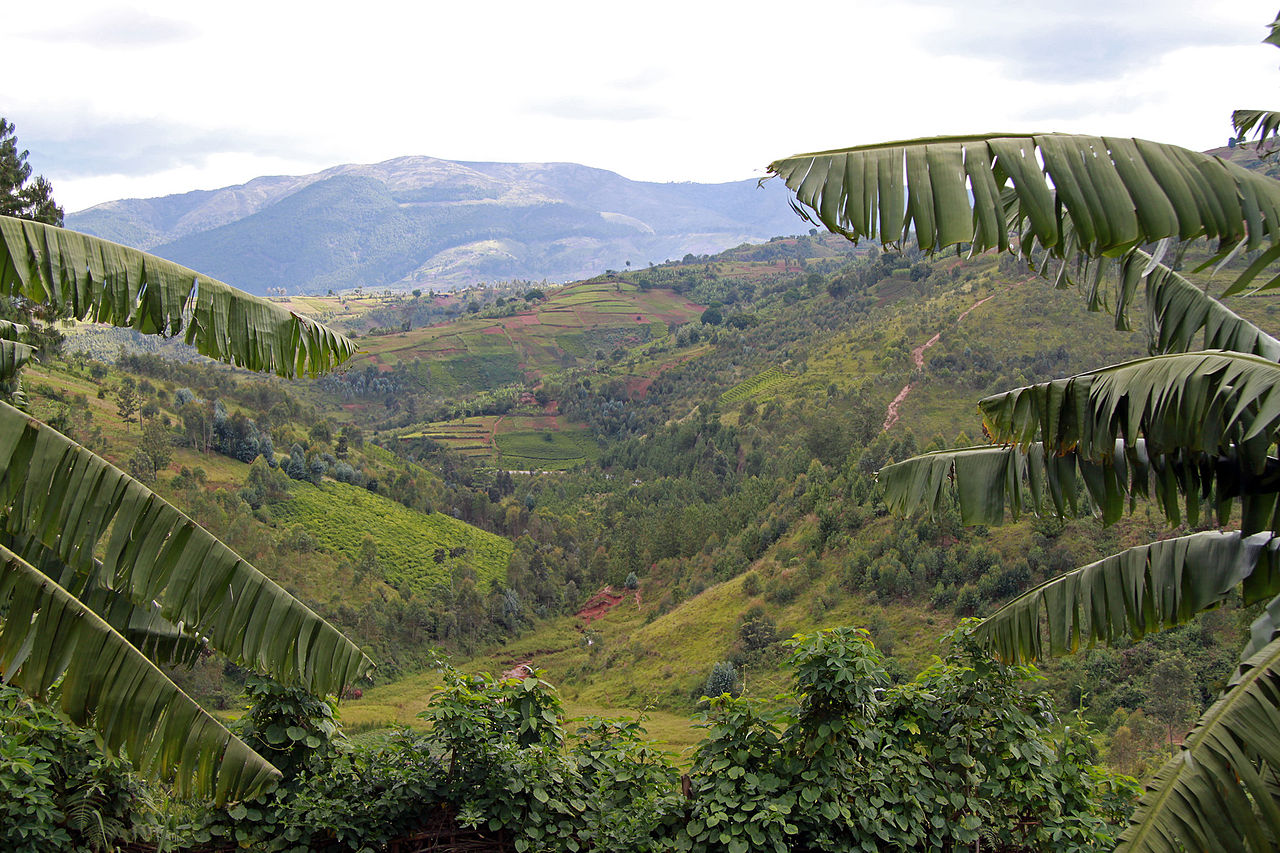 Banga, Burundi 3 (5669419104).jpg