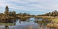 * Nomination Bargerveen Meerstalblok. Peat lake with dead birches (Betula). --Agnes Monkelbaan 04:32, 5 October 2019 (UTC) * Promotion  Support Good quality. --Armenak Margarian 05:30, 5 October 2019 (UTC)