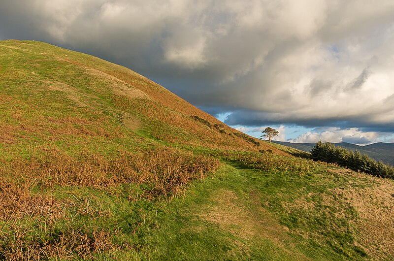 File:Below Latrigg - geograph.org.uk - 5984059.jpg