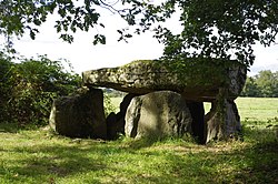 Illustratieve afbeelding van het artikel Dolmen de la Borderie