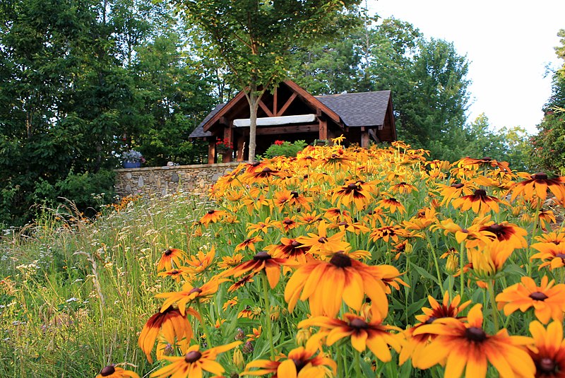 File:Big Log House - panoramio (3).jpg